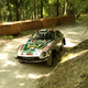 Illustration for article titled Tons Of Classic Rally Cars? Tons Of Classic Rally Cars!